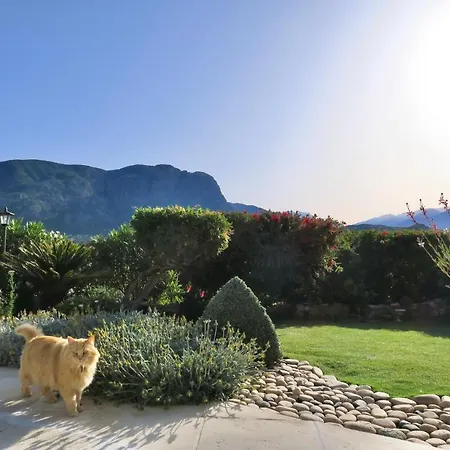 Bed & Breakfast Santa Paola D'hotes De Charme, Piscine, Vue Montagne, Ajaccio *
